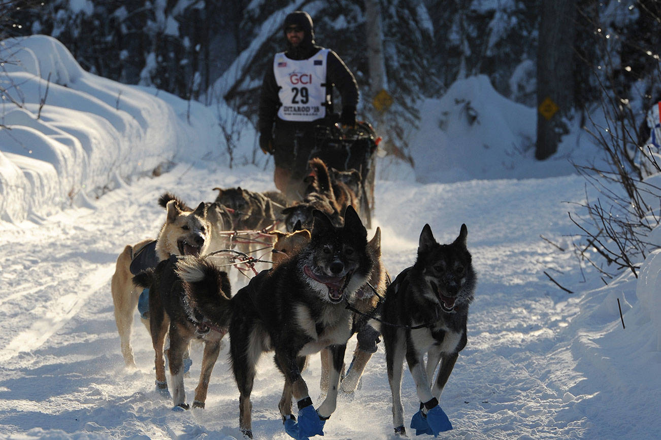 How a Vashon Islander Helped Launch the Iditarod