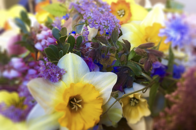 The UW Botanical Gardens Are a Bountiful, Large-Scale Show-and-Tell